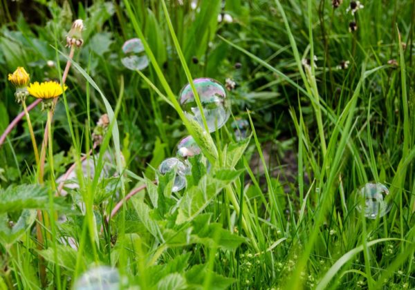 Prin temps philosophique et sensible immersion nature