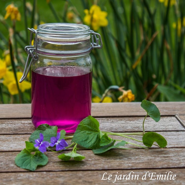 Sirop de violettes