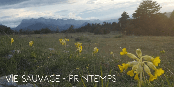 Stage Etre printemps immersion montagne