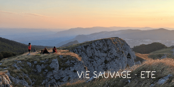 Stage Vivants parmi les Vivants immersion montagne