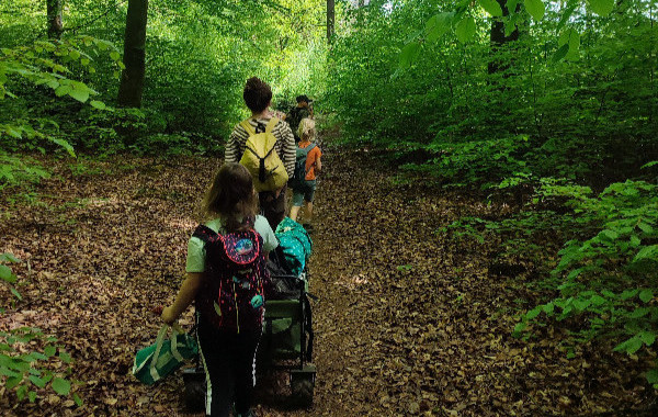 Stages enfants immersion en forêt