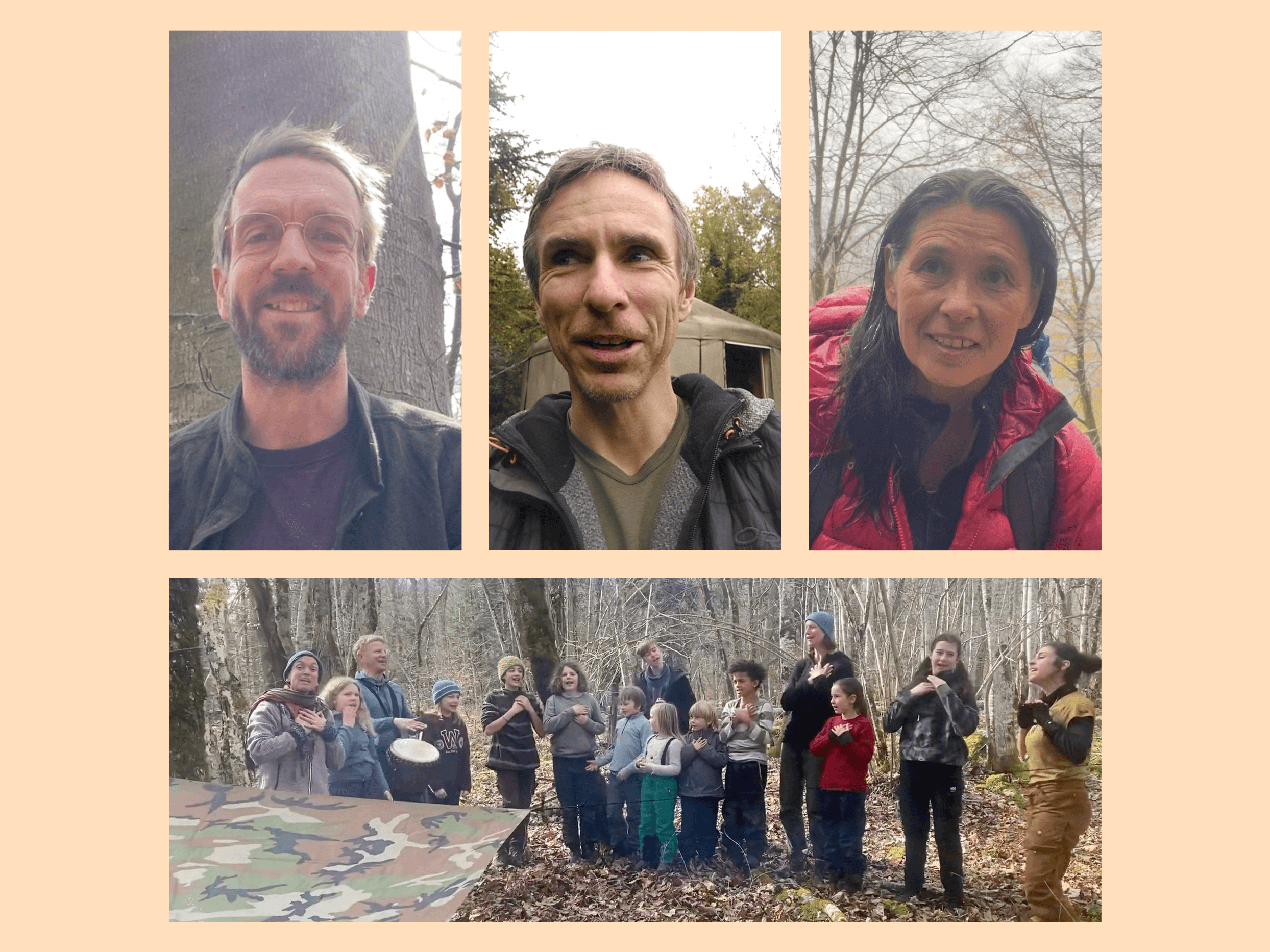 À la une pour le printemps – Les arbres 🌲