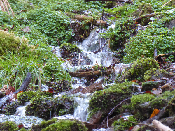 Cascade createrre