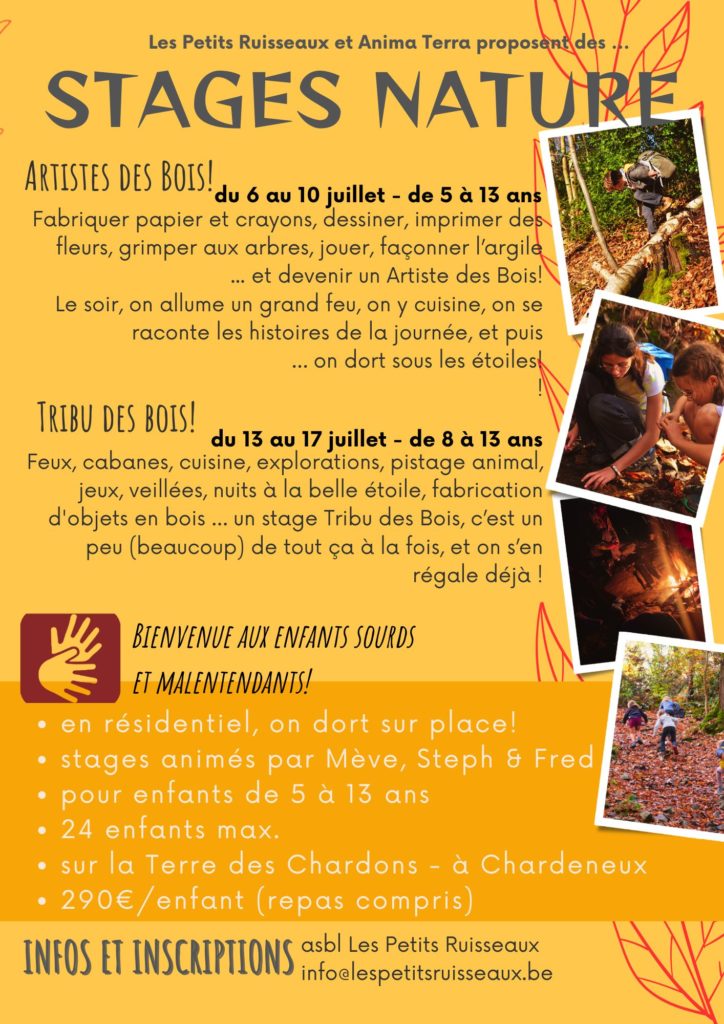 Juillet 2026 stages nature artistes des bois et tribu des bois