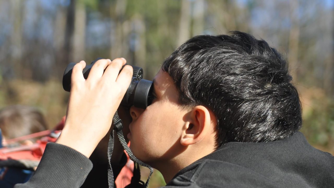 Juillet 2026 stages nature artistes des bois et tribu des bois banner