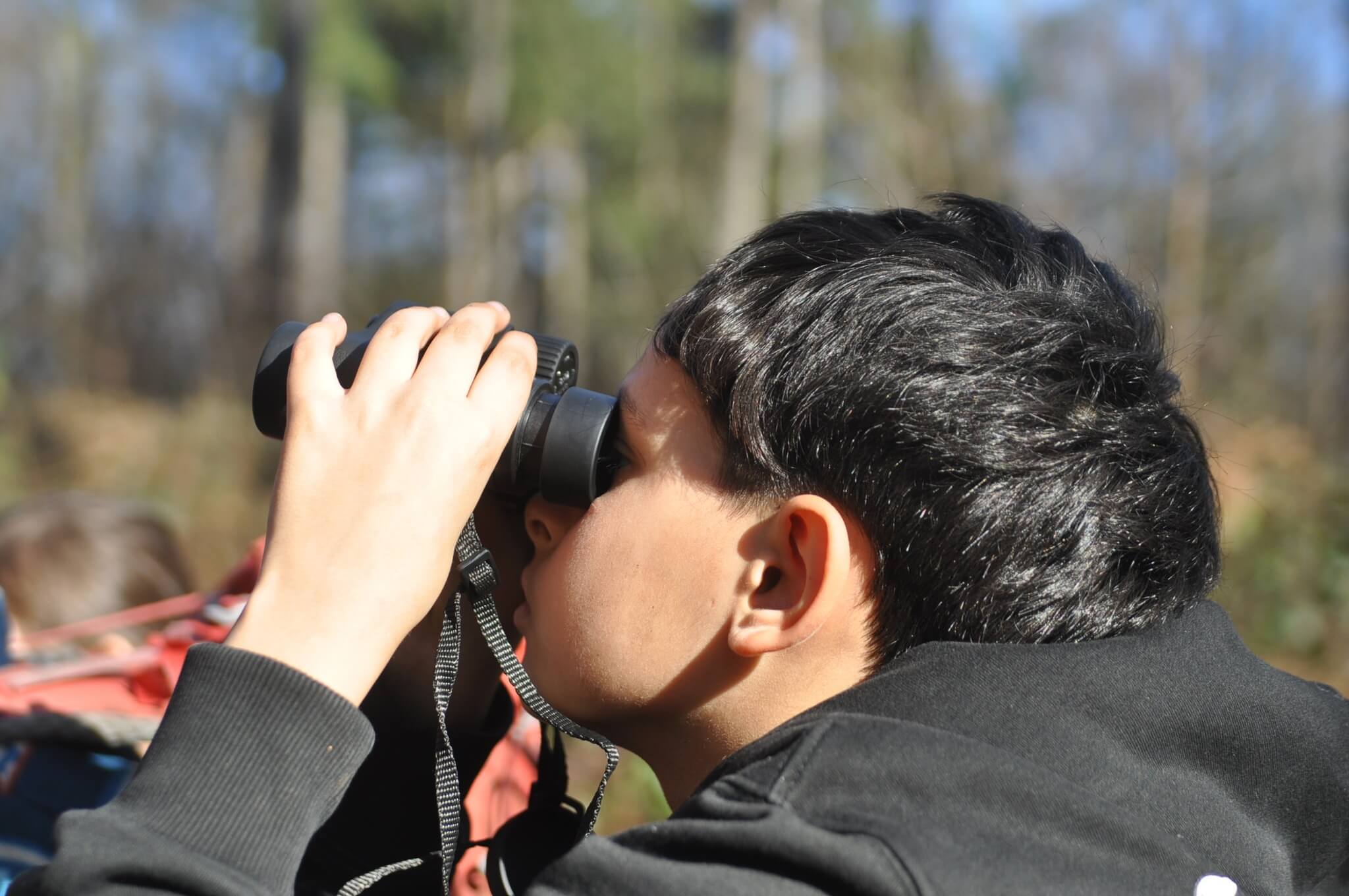 Juillet 2026 – Stages nature – Artistes des bois et Tribu des bois