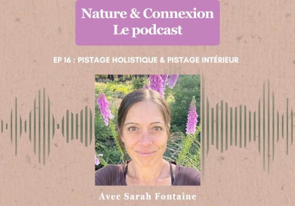 Nature connexion ep16 pistage holistique pistage interieur sarah fontaine Graines de Sauvages