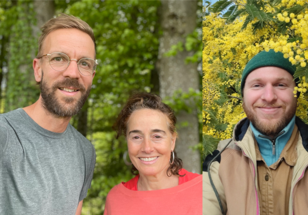 Photos equipe feuille racine