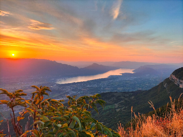 Newsletter de CréaTERRE – 🌲 Et si vous passiez deux nuits sous les étoiles en mai ?