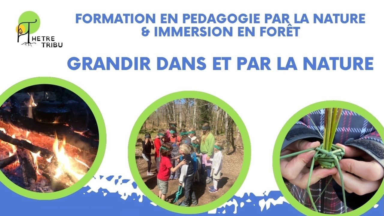 Formation nature enfants suisse immersion foret 8 shields banner