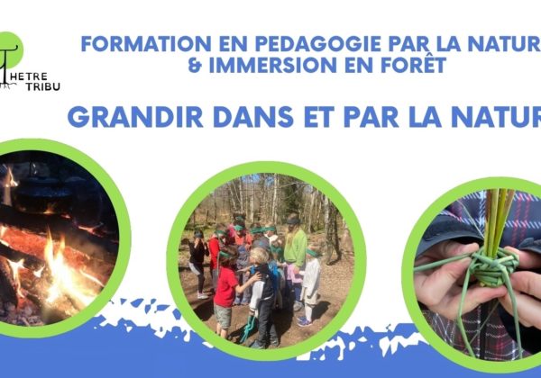 Formation nature enfants suisse immersion foret 8 shields banner