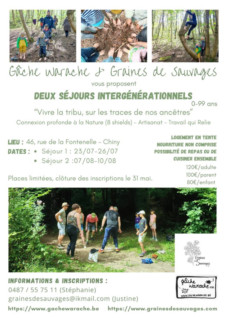 Graines de sauvage stage