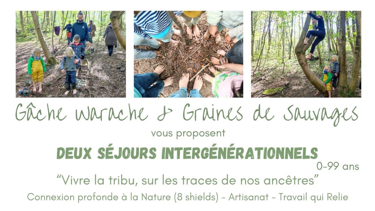 Graines de sauvage stage banner