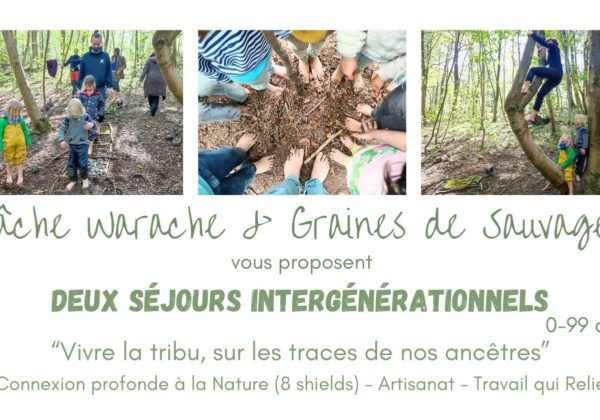 Graines de sauvage stage banner