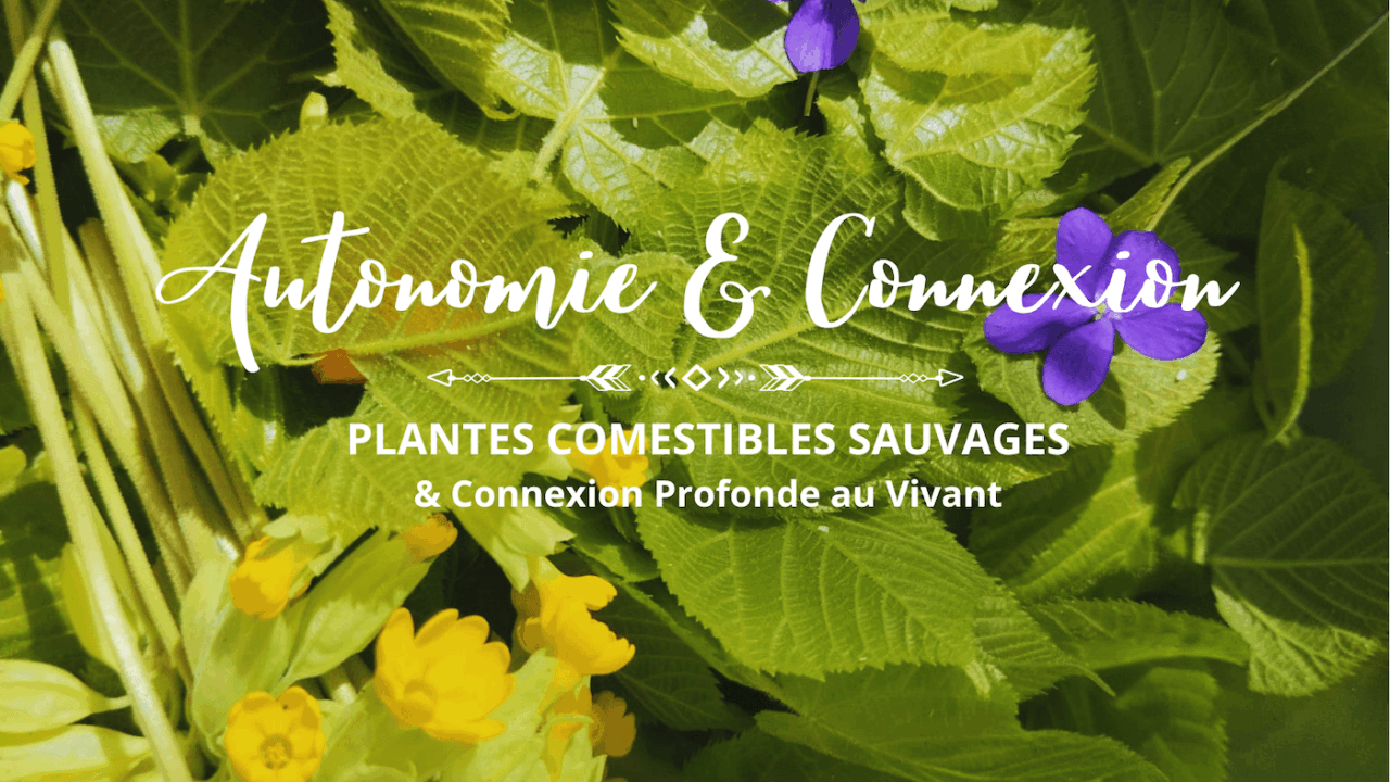 Parents sauvages autonomie connexion