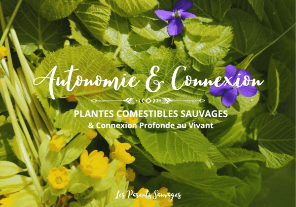 Parents sauvages autonomie connexion