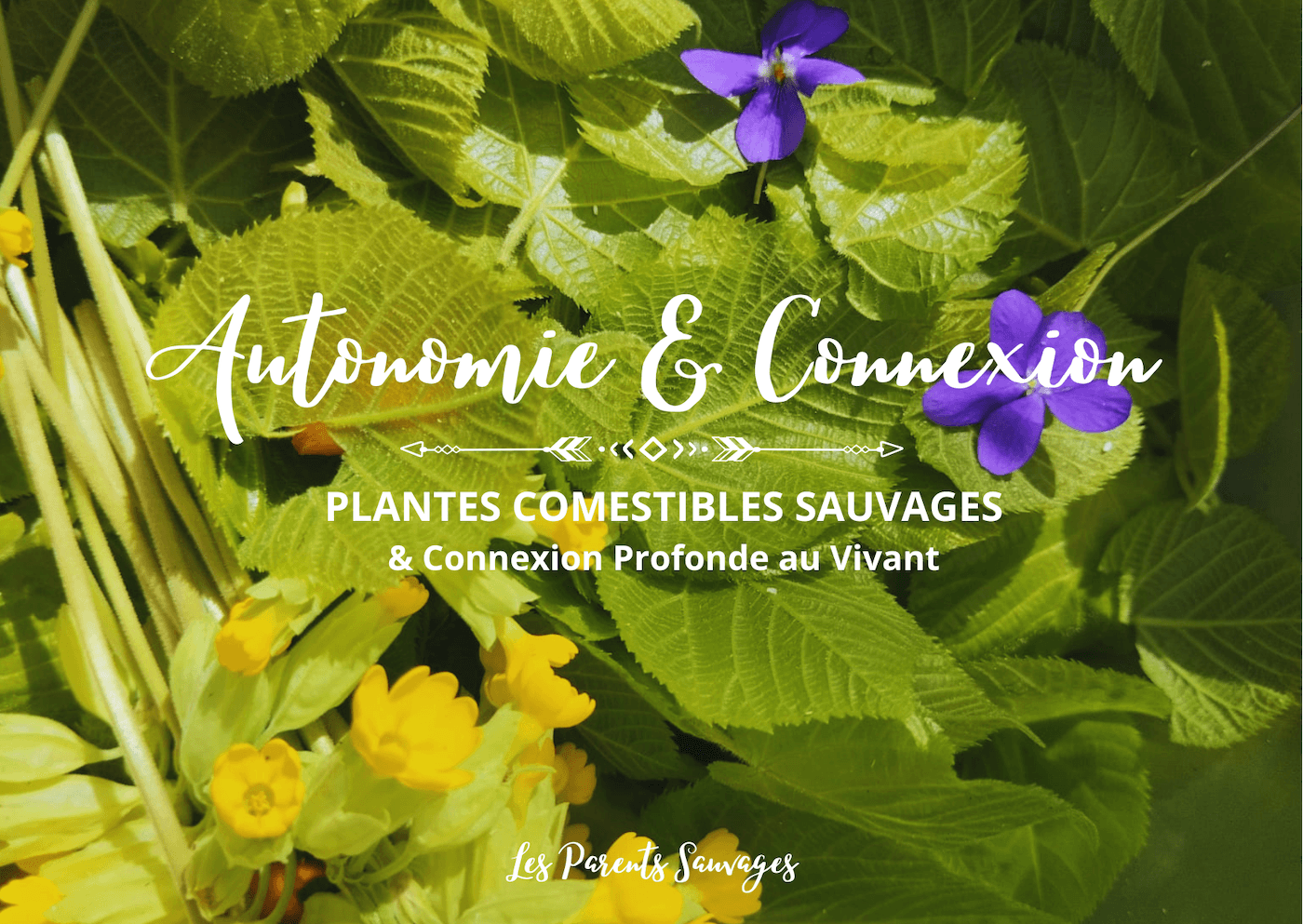 26.04.26 – Autonomie & Connexion – Plantes Comestibles Sauvages