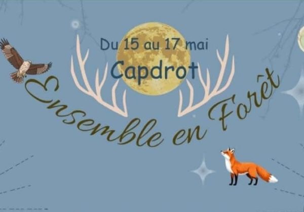 15 au 17 05 26 ensemble en foret une parenthese enchantee 1banner