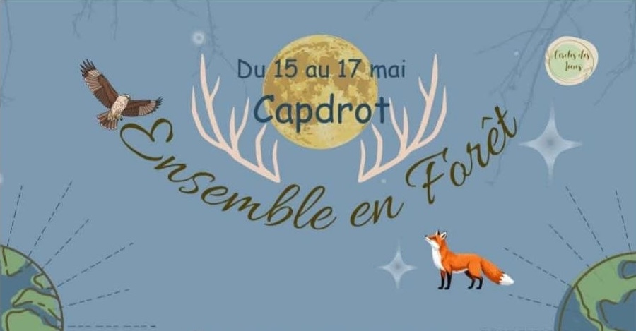 15 au 17 05 26 ensemble en foret une parenthese enchantee 1banner