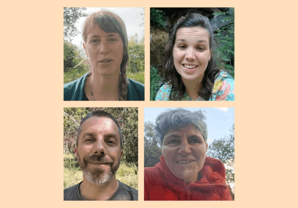 Mentors pour le monde professionel