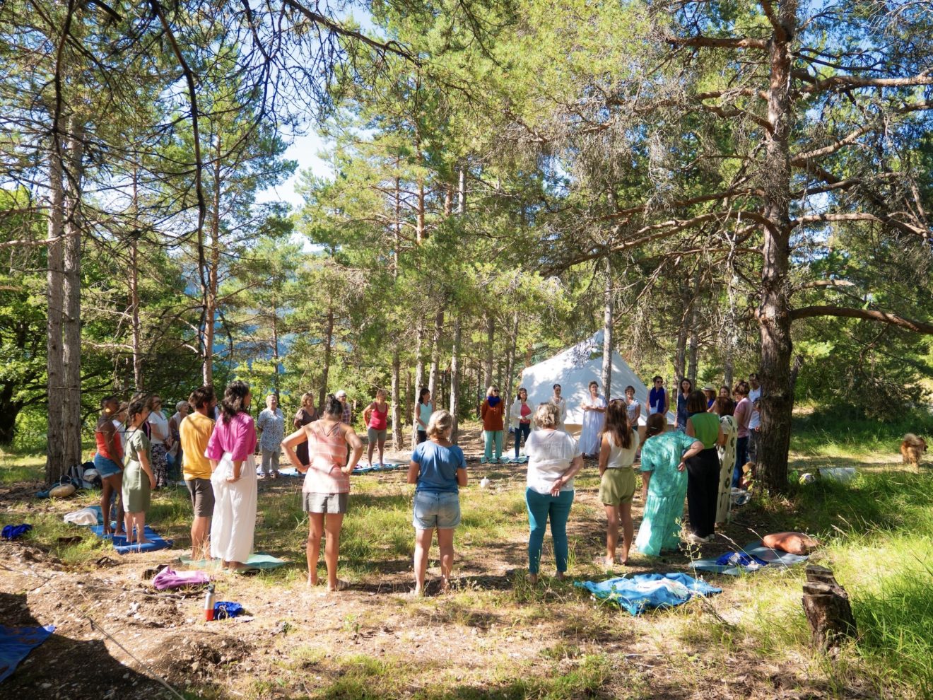 Rassemblement tribu appel du mentor
