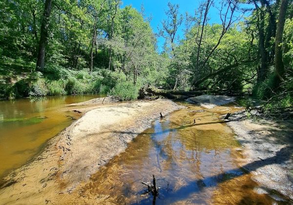 La rivière, sa sagesse et nos âmes indigènes