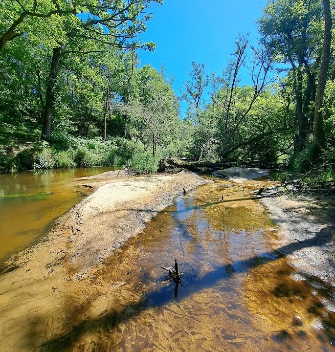 La rivière, sa sagesse et nos âmes indigènes