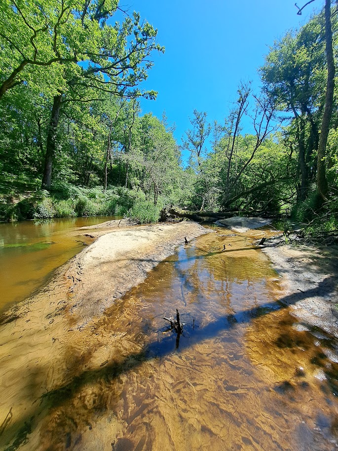 La rivière, sa sagesse et nos âmes indigènes