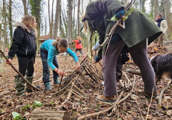 Les familles des bois