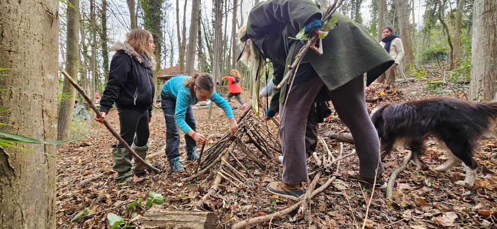 Les familles des bois