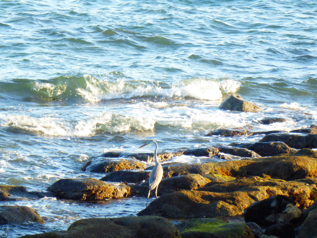 Createrre Le Cycle de l eau