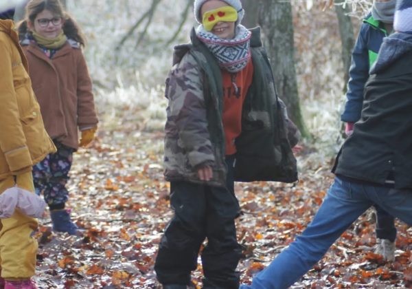 'automne Familles en forêt