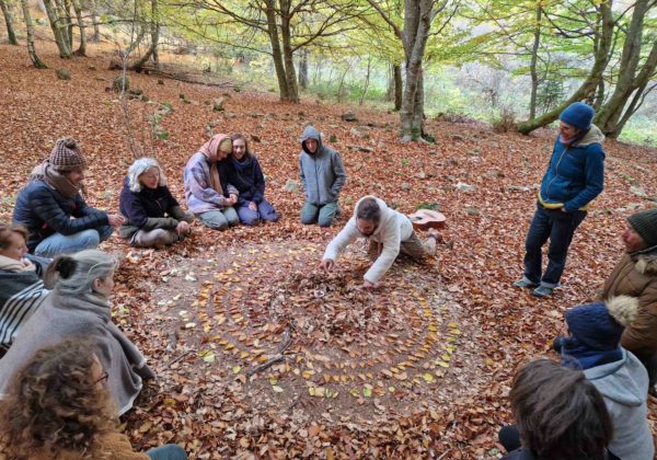 Cercles de Gratitude pour le Vivant – Visio – Gratuit – du 1er au 3 de chaque mois