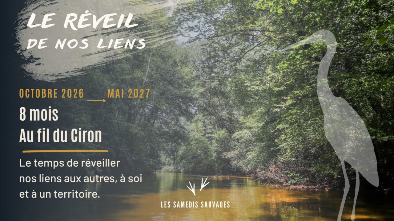 LE RÉVEIL DE NOS LIENS