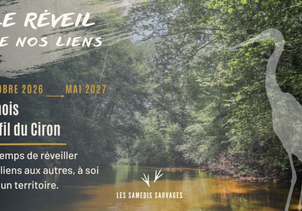 LE RÉVEIL DE NOS LIENS