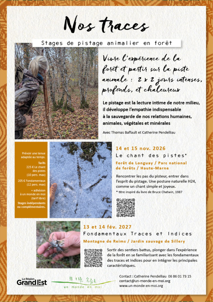Nos traces