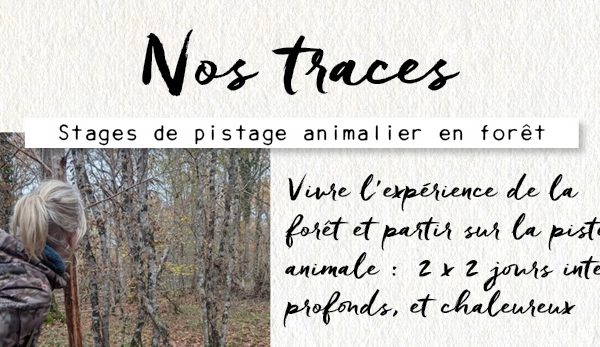 Nos traces 2026 banner