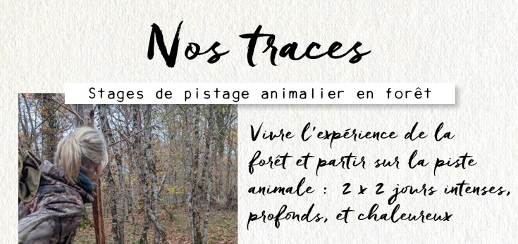 Nos traces 2026 banner