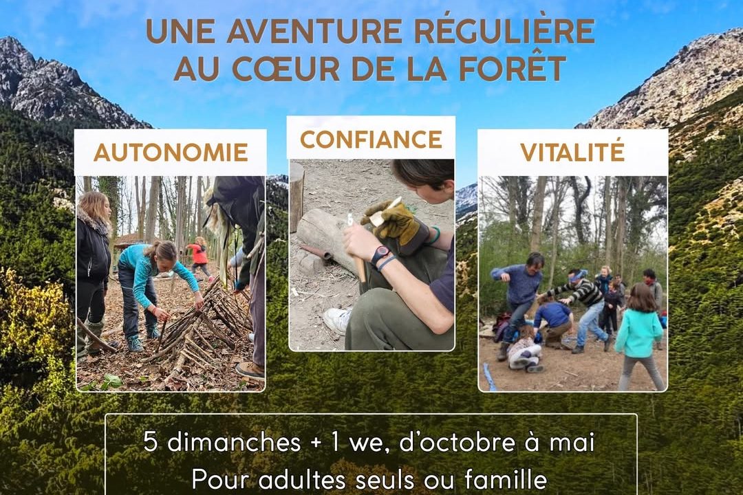 Famille des bois Dryade