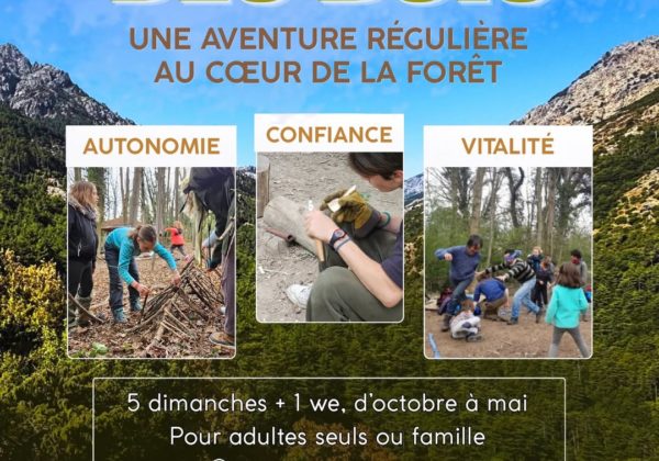Famille des bois Dryade