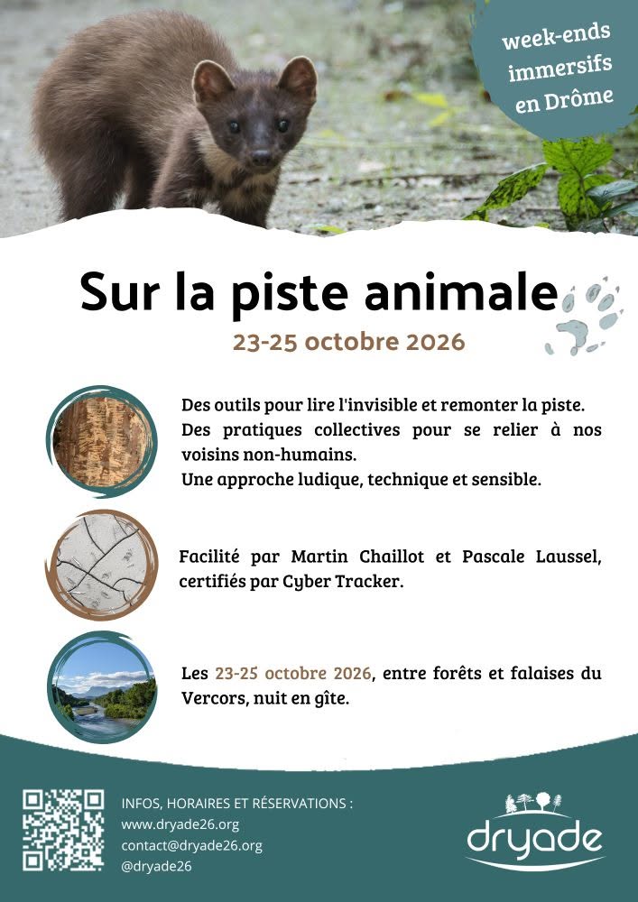Sur la piste animale