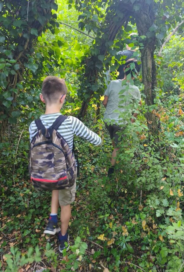 Newsletter de Créaterre – L&rsquo;automne en pleine nature : découvrez le programme de la saison !